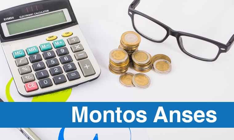 Cuanto voy a cobrar ANSES